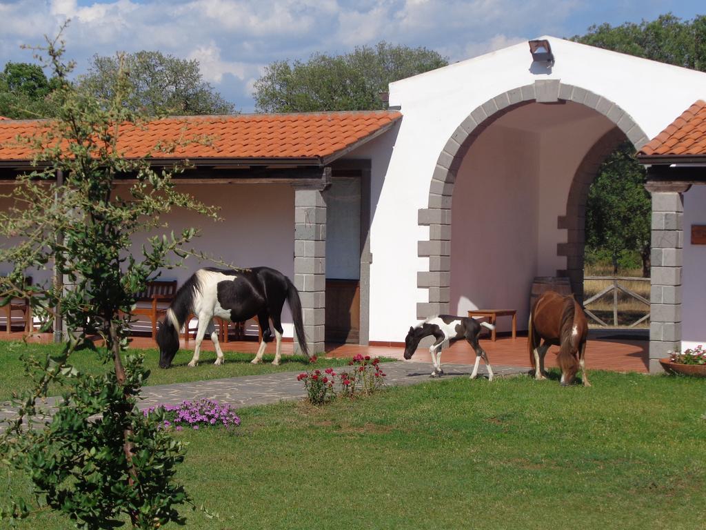 Hotel Su Baione Abbasanta Kültér fotó